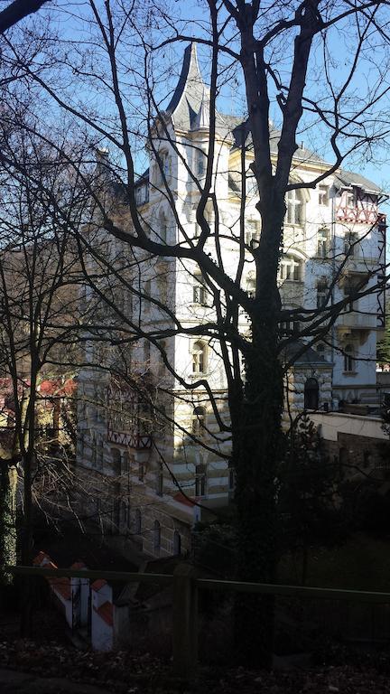 Villa Sofia Apartments Karlovy Vary Dış mekan fotoğraf